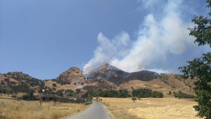 13754436_1771734766403734_3484724522086633472_n