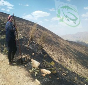 13775371_278524652510759_3747857046024125870_n