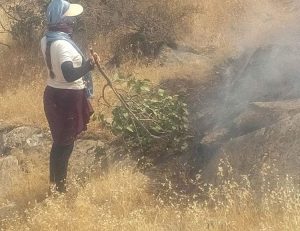 13781761_278524669177424_8443358651451207036_n