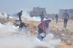 14232592_329346864067075_5307558960790040192_n