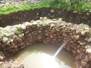 12899630_10204334156273713_571786256_o