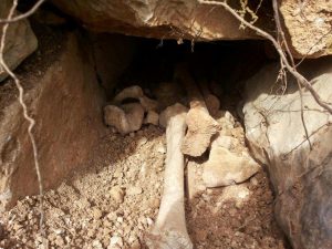 12910062_10204334156313714_2094795709_n