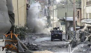 kmmk............نسیبین....