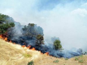 13690669_588674601311882_2325286571032647960_n