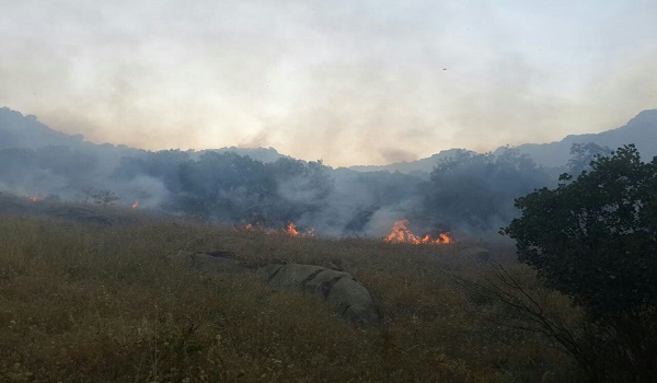 ئاگرتێبەردانی لێرەوارەکانی کوردستان بەردەوامە و ئەمرۆ لە دوو شوێنی جیاواز لێرەوارەکانی شاری پاوەی کردە ئامانج.